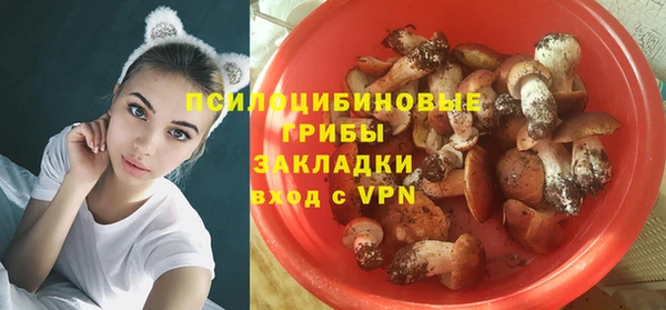 а пвп мука Алексеевка